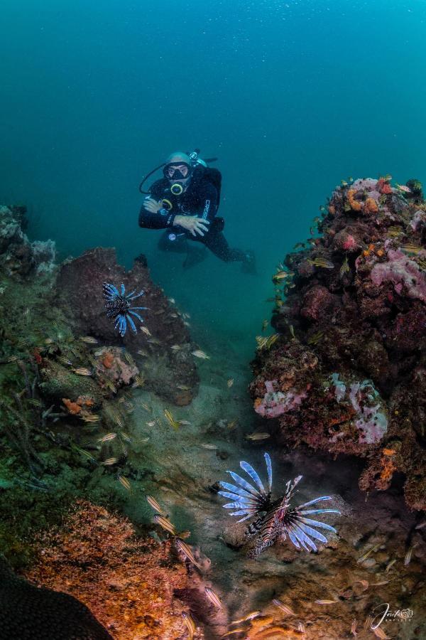 טגאנגה Divanga Hostel And Diving מראה חיצוני תמונה