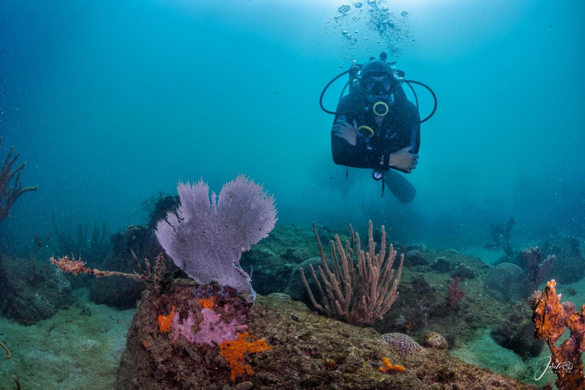טגאנגה Divanga Hostel And Diving מראה חיצוני תמונה